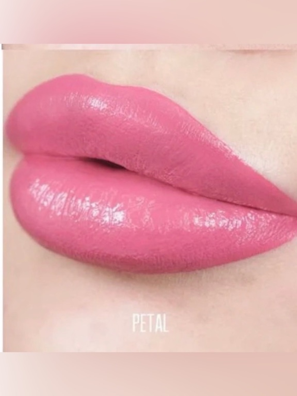 Bodyography PETAL Lip Lava Liquid Lipstick Soft Pink Matte NEW PC